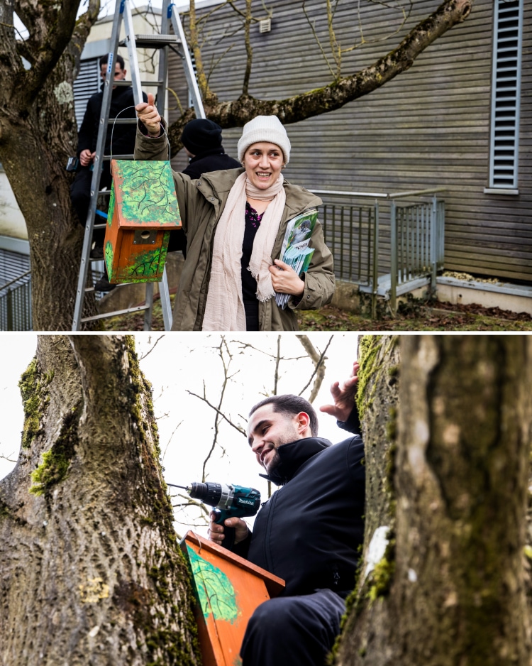 Photos de la pose des nichoirs