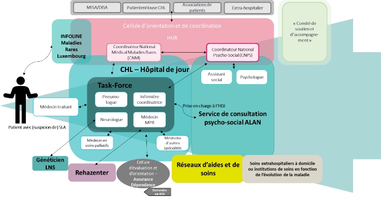 Organigramme de la filière de soins 